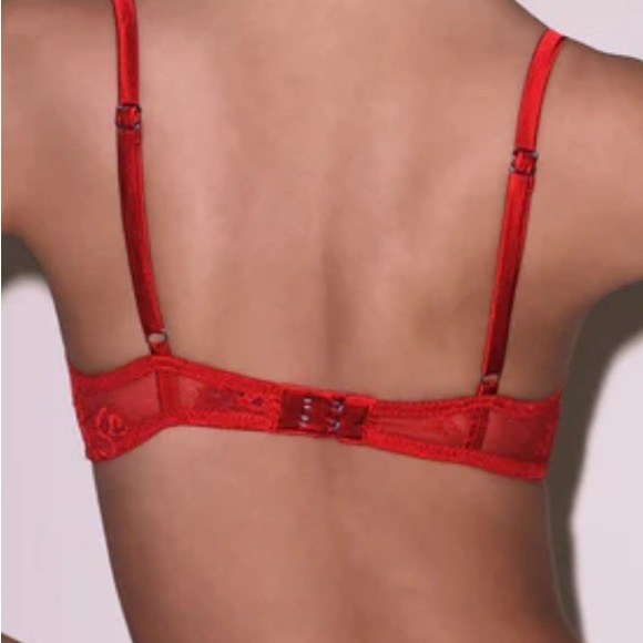 Fleur du Mal Red Lace Bra and Panty Set - Picture 2 of 8